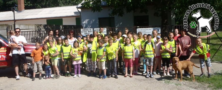 kutya, macskák, állatmenhely, örökbefogadás, adóbevalláskor adó 1 százalék